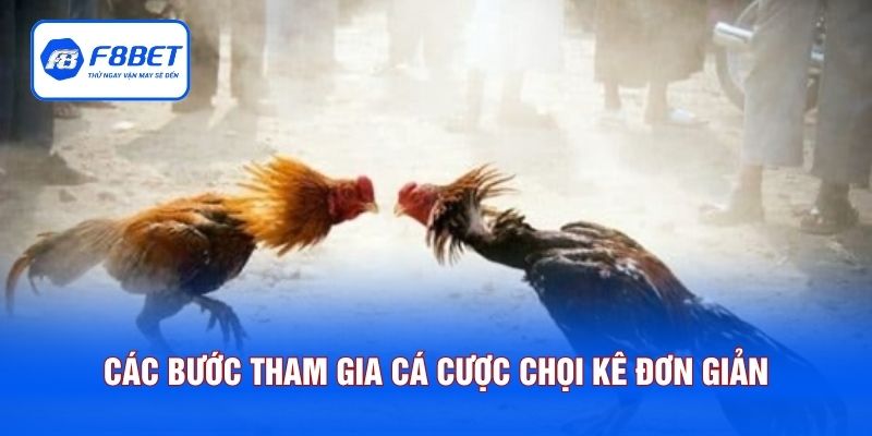 Các bước tham gia cá cược chọi kê vô cùng đơn giản