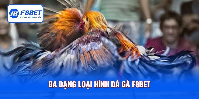 Đa dạng loại hình đá gà F8BET