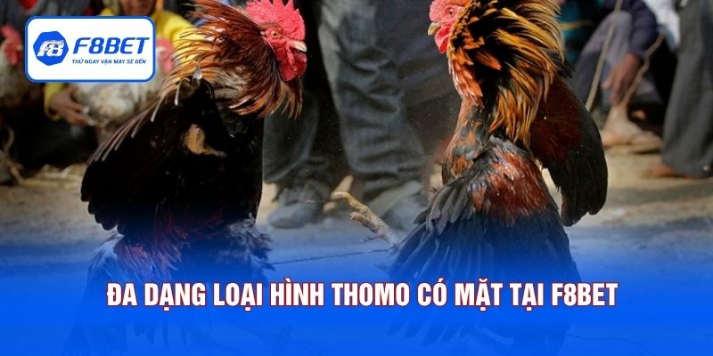 Đa dạng loại hình Thomo có mặt tại F8BET
