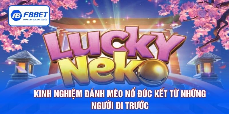 Kinh nghiệm đánh mèo nổ đúc kết từ những người đi trước