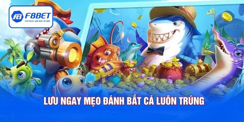 Lưu ngay mẹo đánh bắt cá luôn trúng