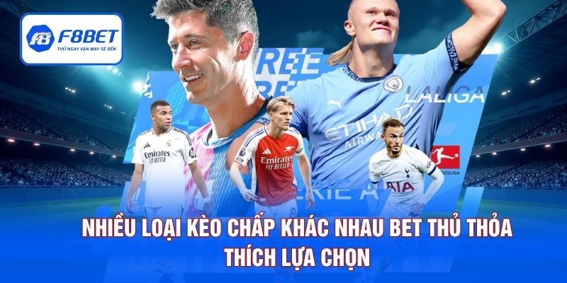 Nhiều loại kèo chấp khác nhau bet thủ thỏa thích lựa chọn