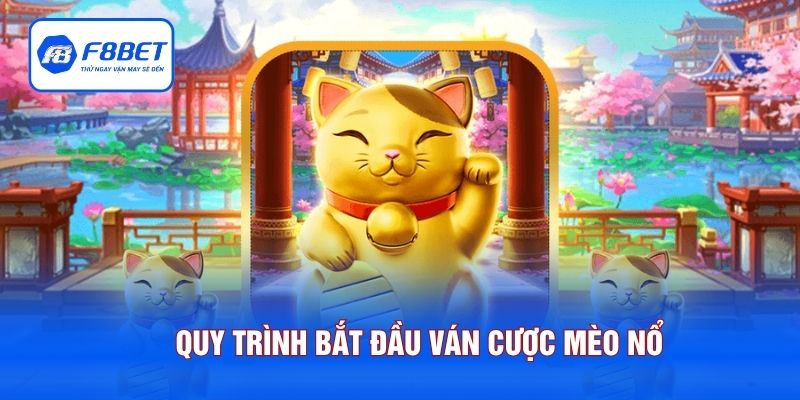 Quy trình bắt đầu ván cược mèo nổ