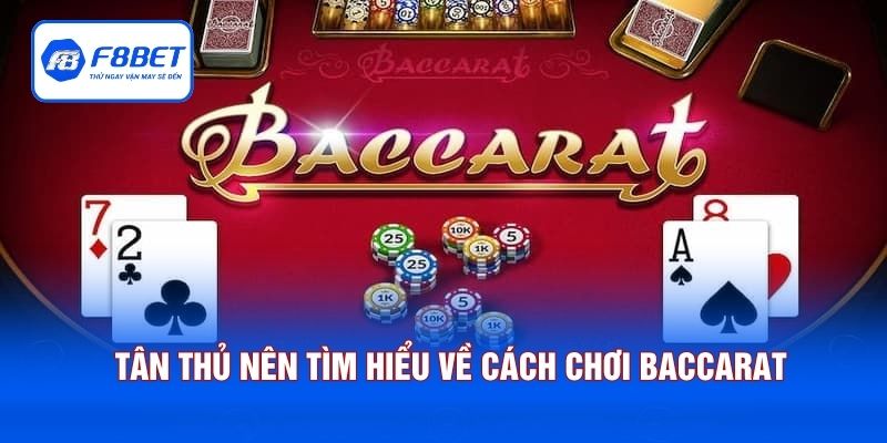Tân thủ nên tìm hiểu kỹ càng về cách chơi Baccarat